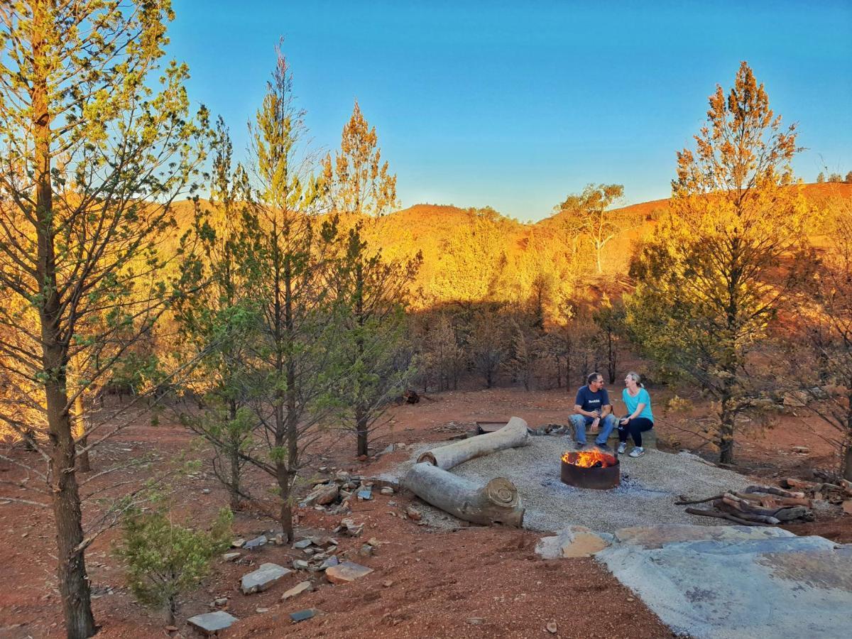 Skytrek Station * Willow Springs